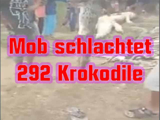 Mob schlachtet 292 Krokodile Foto: YouTube