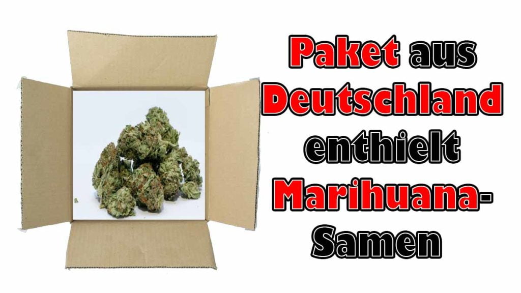 Marihuana Samen aus Deutschland bringen Mann ins Gefängnis