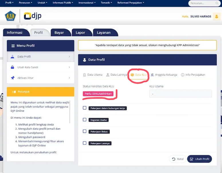 Screenshot Webseite indonesisches Finanzamt